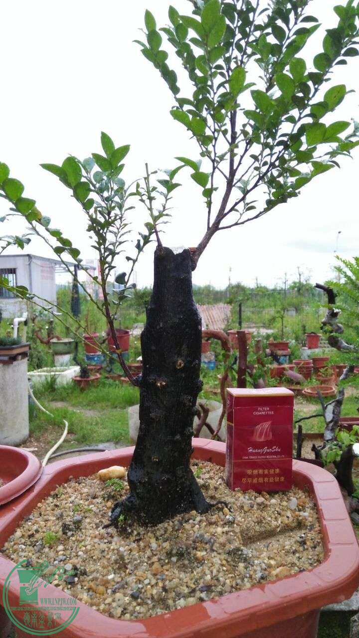 QQͼƬ20160607205902.jpg