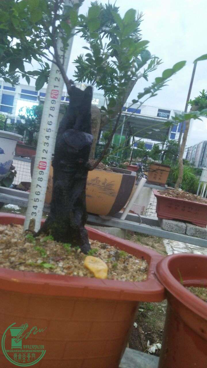 QQͼƬ20160607205833.jpg