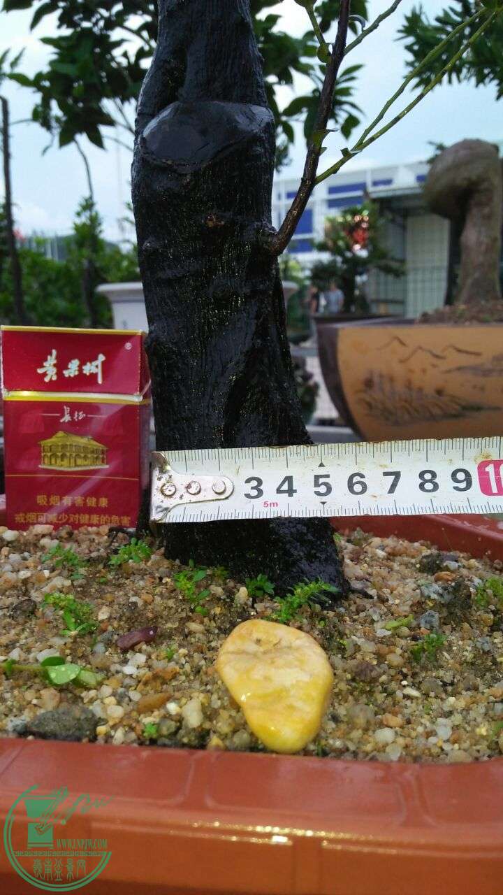 QQͼƬ20160607205856.jpg