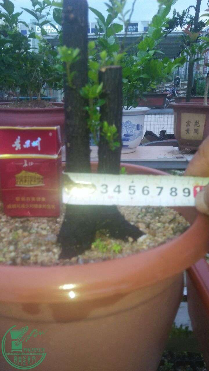 QQͼƬ20160607205819.jpg