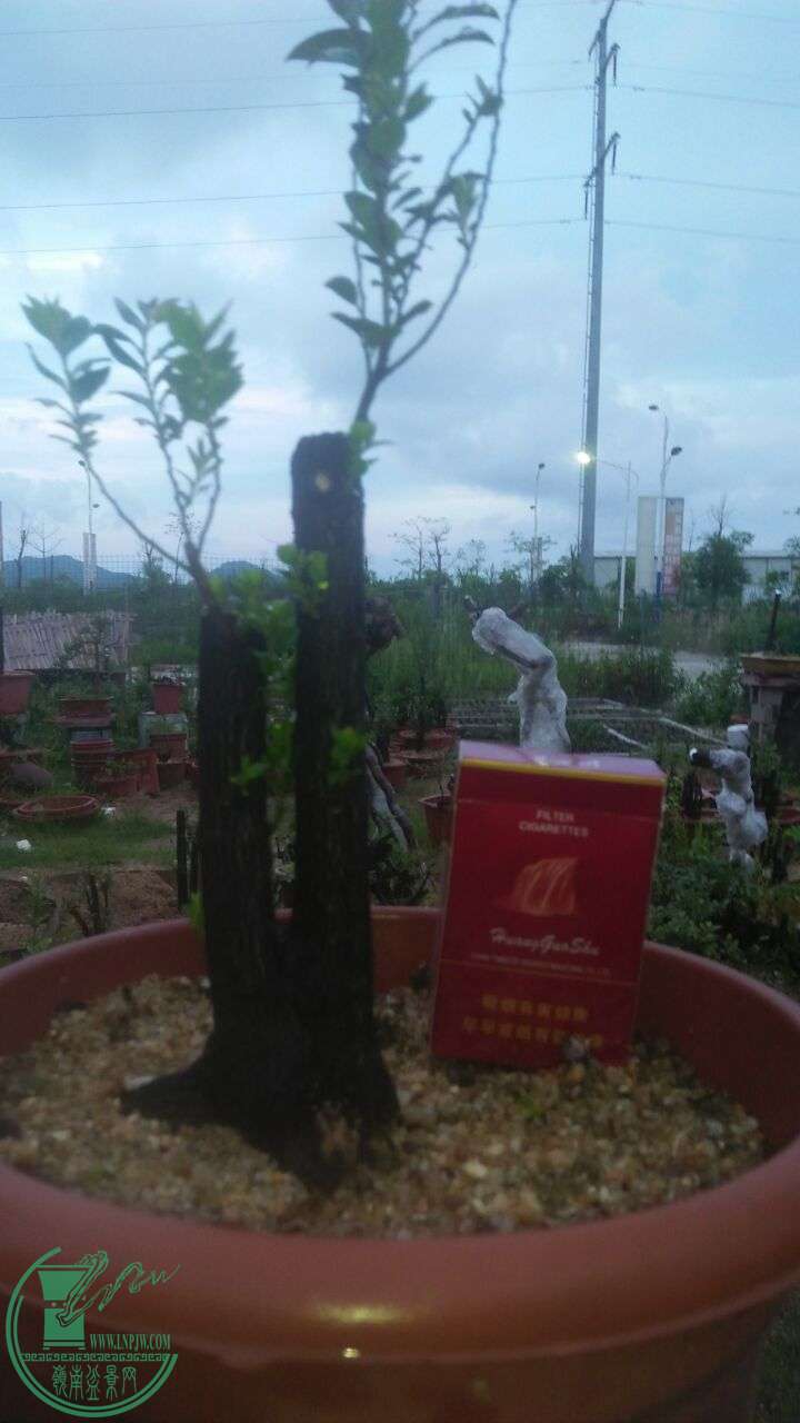 QQͼƬ20160607205909.jpg