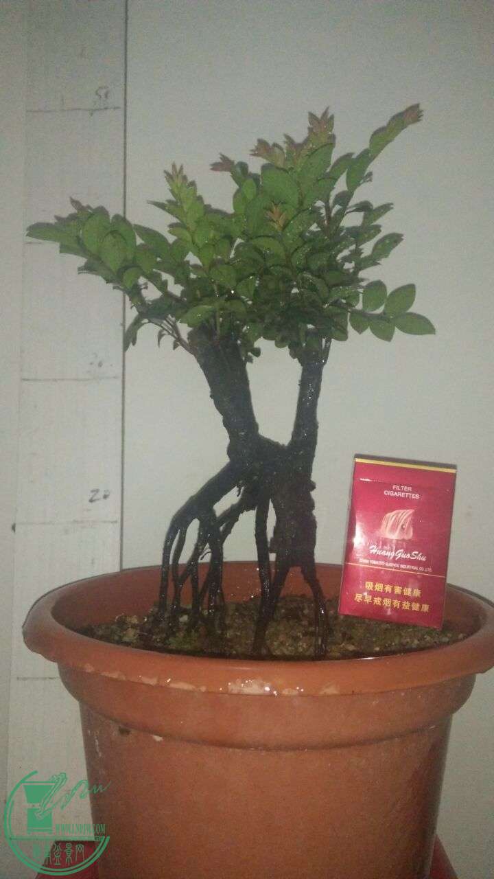 QQͼƬ20160608205447.jpg