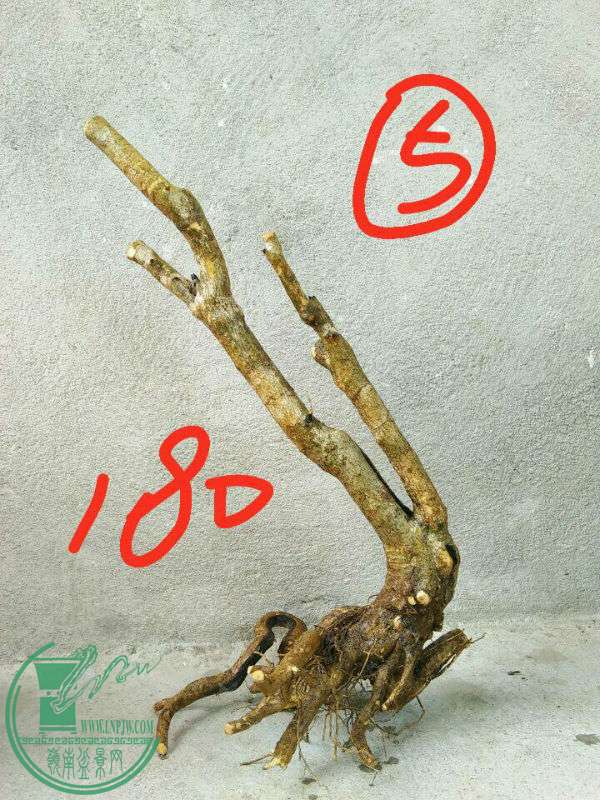 803789