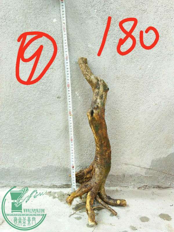 803823