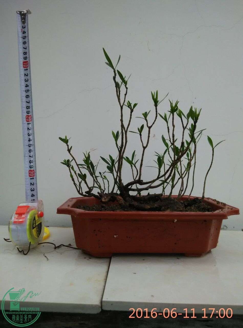 QQͼƬ20160611185225.jpg