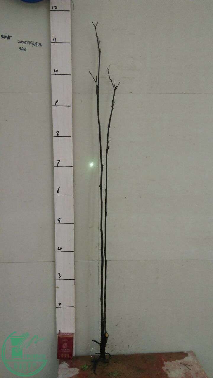 QQͼƬ20160612193852.jpg
