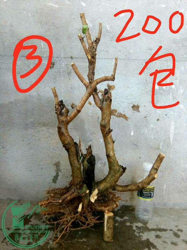 -5dba4e47fd0a8f60.jpg