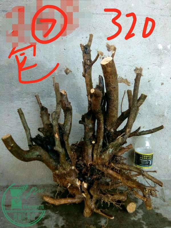 -7b5aadf9ea2b090d.jpg