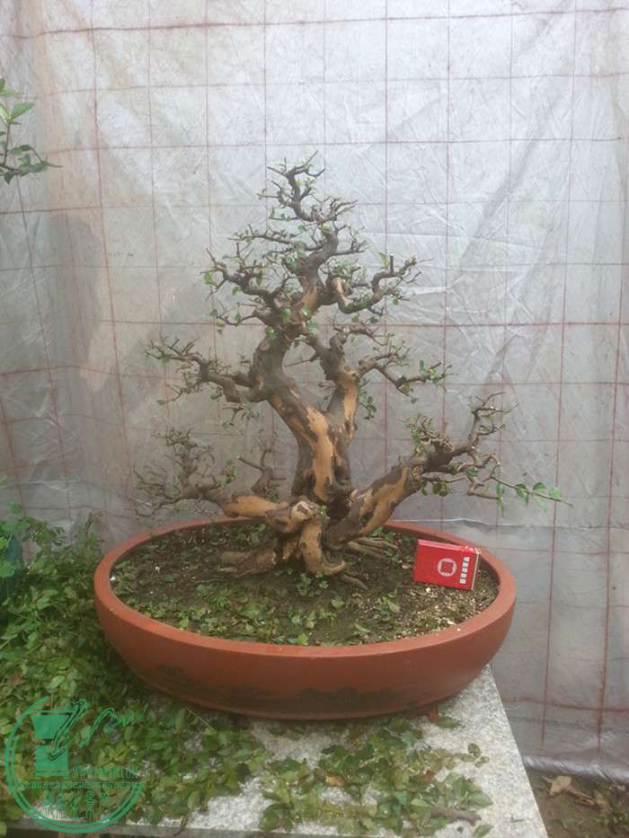 20160613_162409.jpg