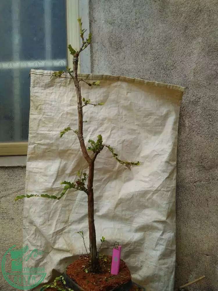 3.1.jpg