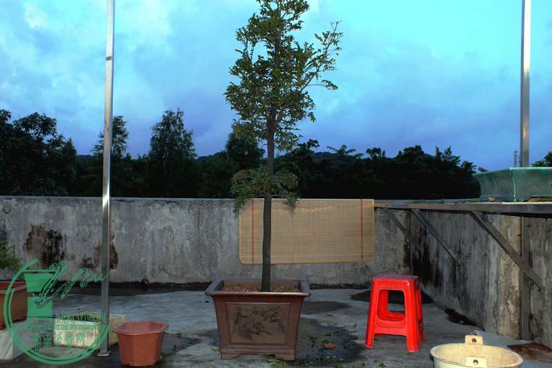 DSCF2904.JPG