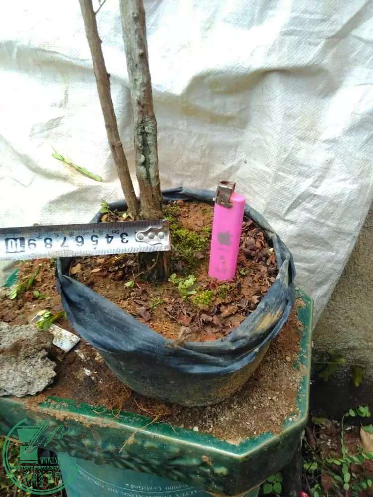 5.2.jpg