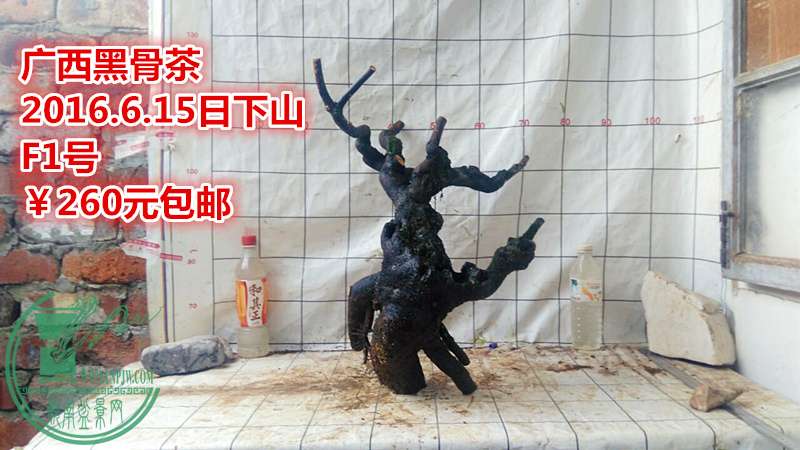 QQͼƬ20160615210427_.jpg