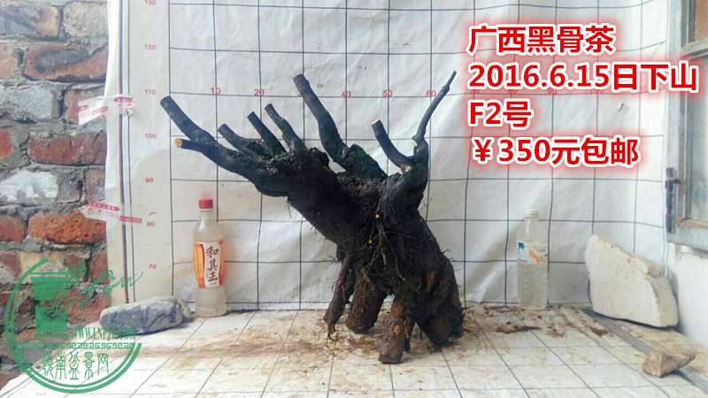 QQͼƬ20160615210449_.jpg