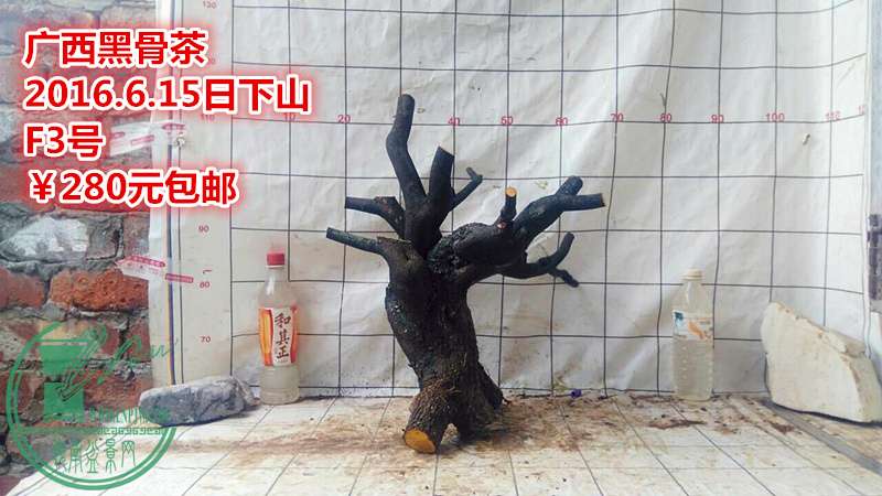 QQͼƬ20160615210452_.jpg