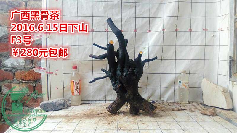 QQͼƬ20160615210501_.jpg