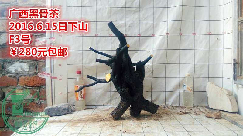 QQͼƬ20160615210514_.jpg