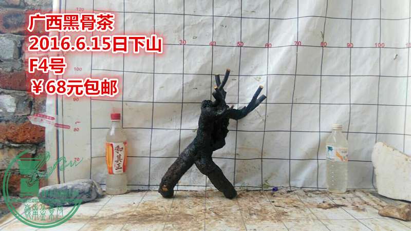 QQͼƬ20160615210517_.jpg