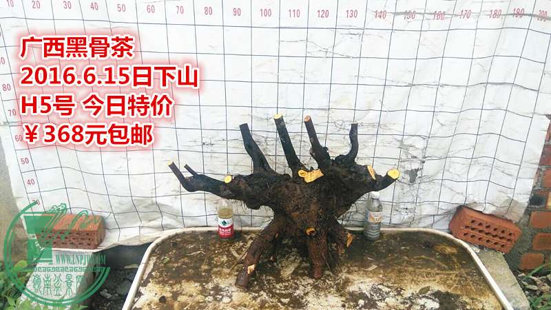 QQͼƬ20160615210531_.jpg