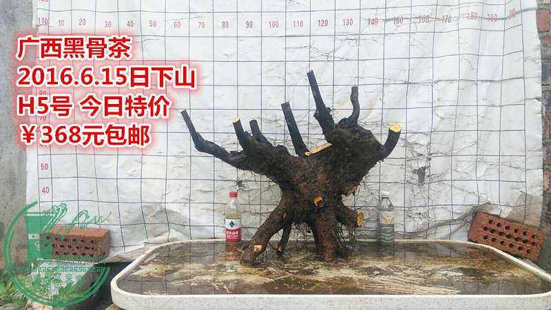 QQͼƬ20160615210534_.jpg