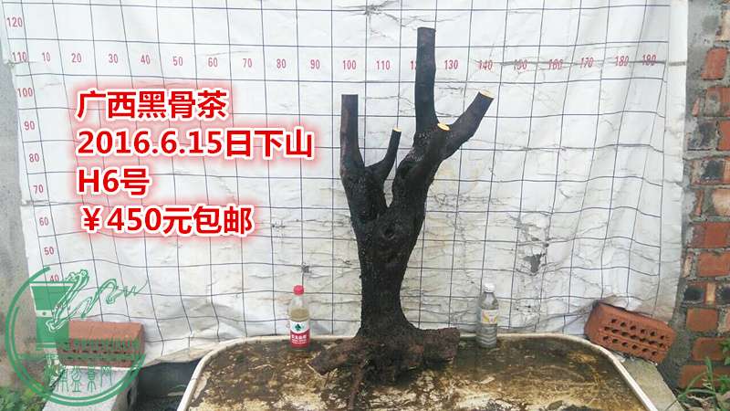 QQͼƬ20160615210558_.jpg