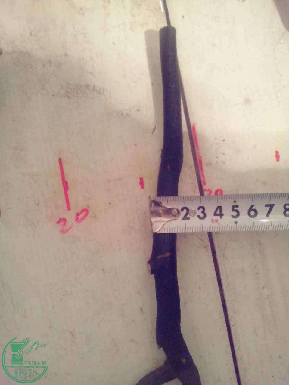 7BEA33E0-402D-41FA-A16F-FB4192DB13D8.JPG