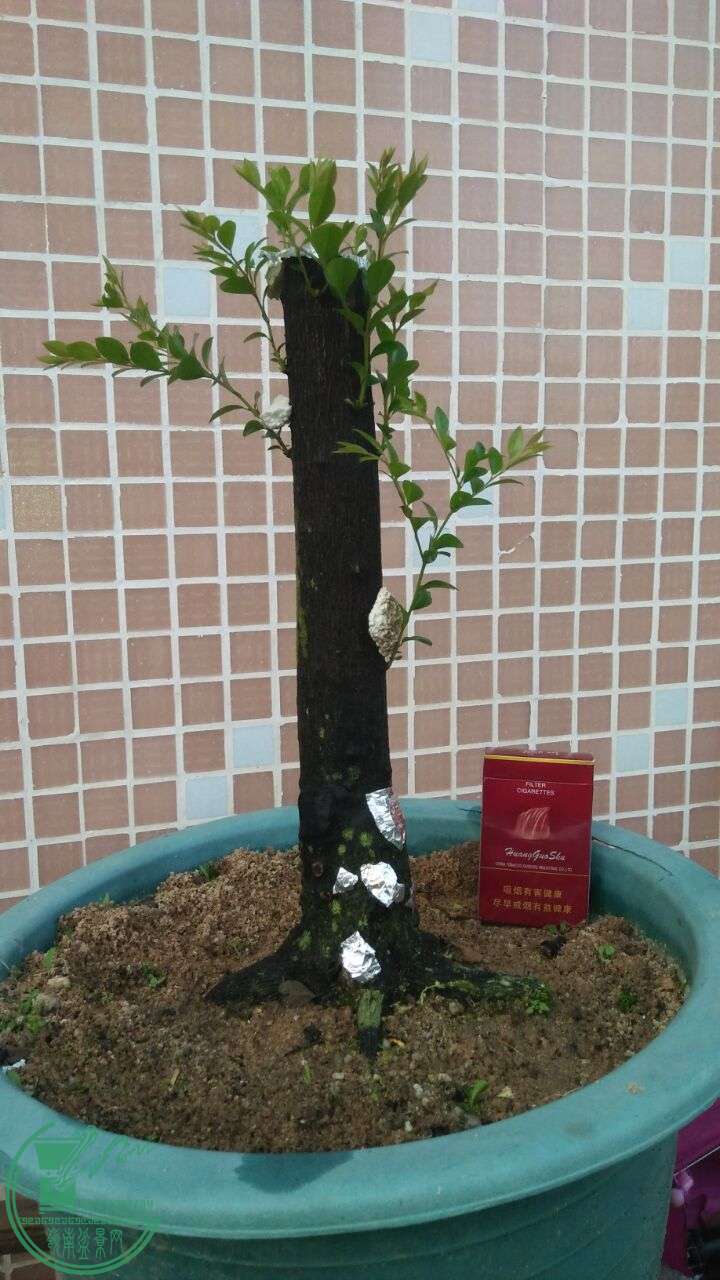 QQͼƬ20160617203942.jpg