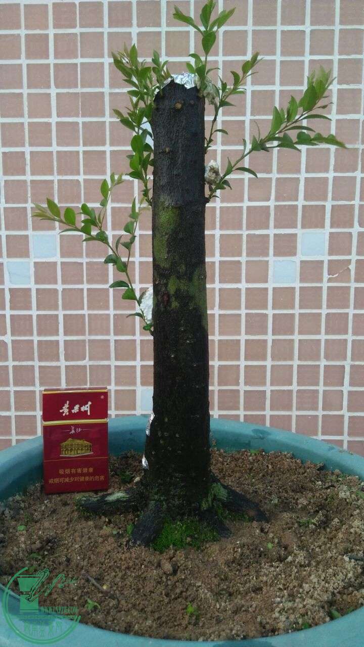 QQͼƬ20160617203916.jpg