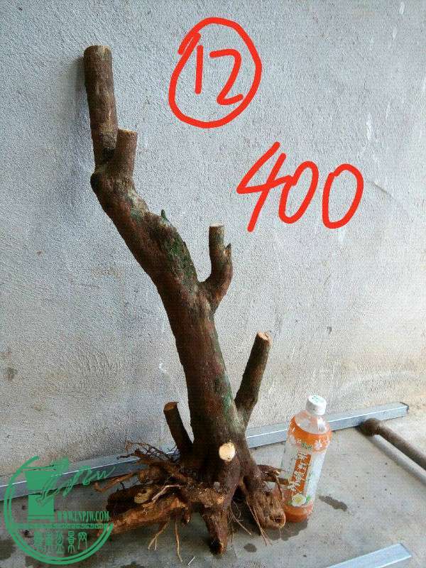 806096
