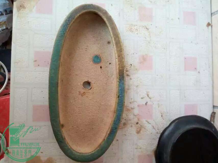 1466335203896.jpeg