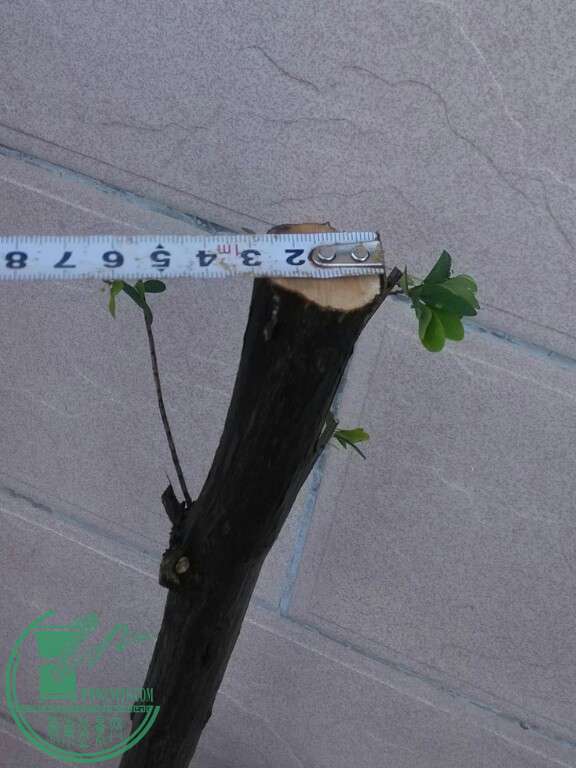 IMG_20160619_183746-1.jpg