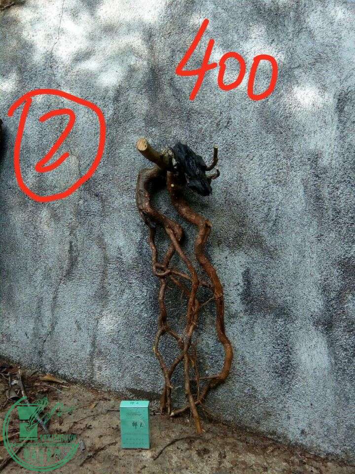 -4d30faa6fbf86b53.jpg