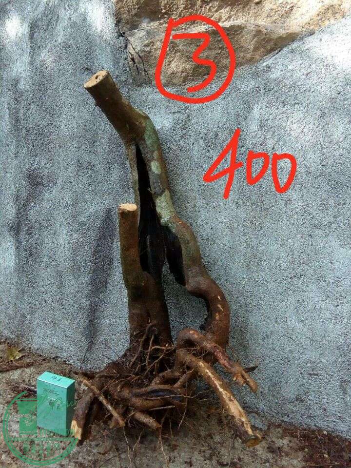 416e833493d15da9.jpg