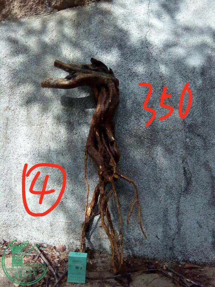 3377f30af3f163d.jpg