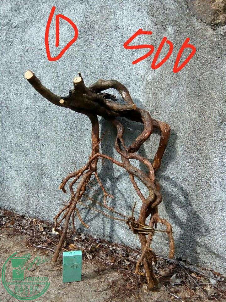 644605df908328e.jpg