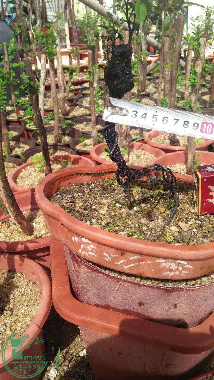 QQͼƬ20160621195913.jpg