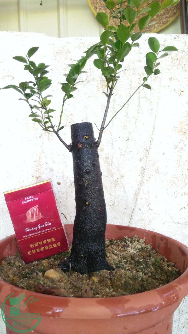 QQͼƬ20160622210037.jpg