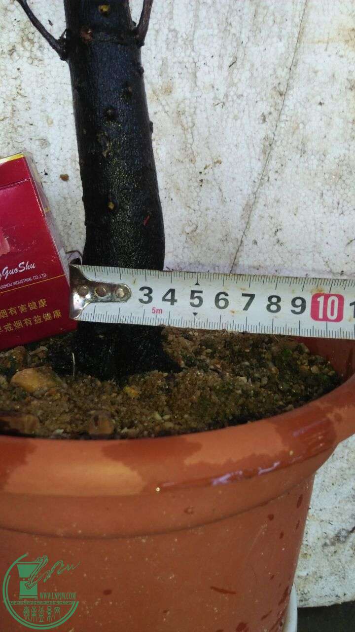 QQͼƬ20160622210032.jpg