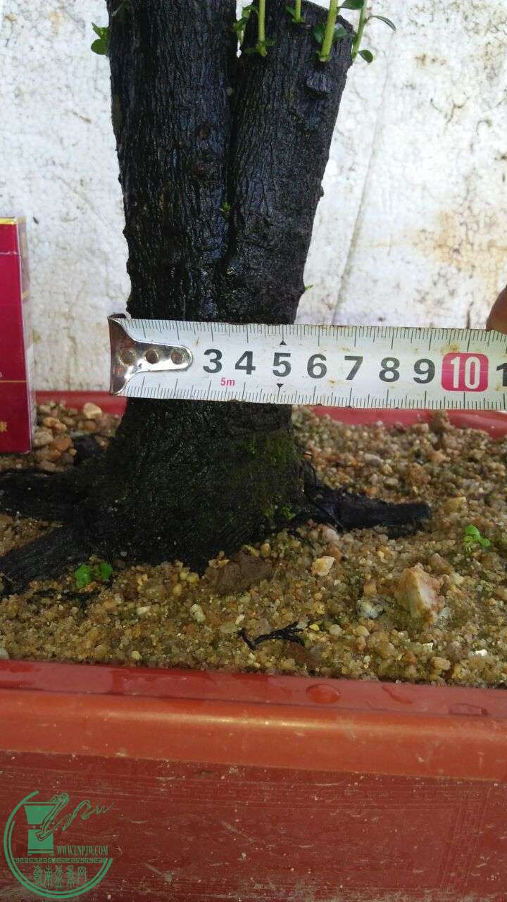 QQͼƬ20160622205955.jpg