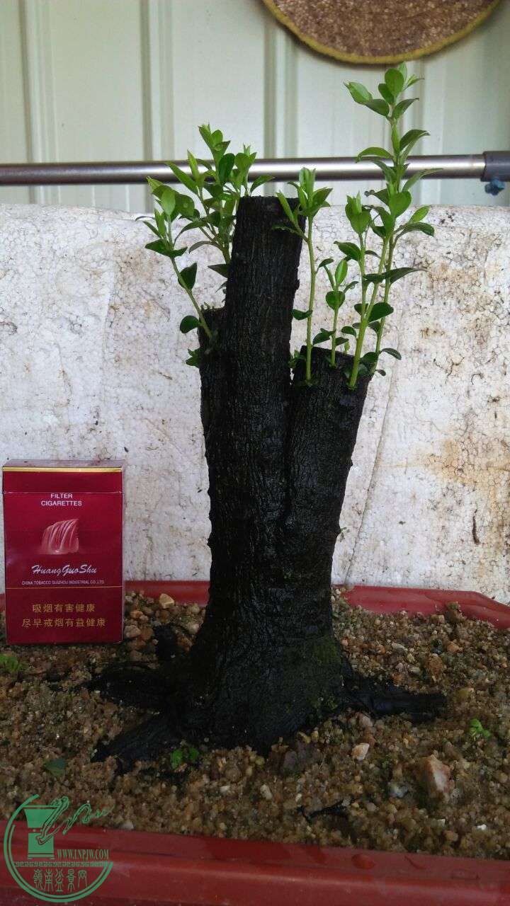 QQͼƬ20160622205933.jpg