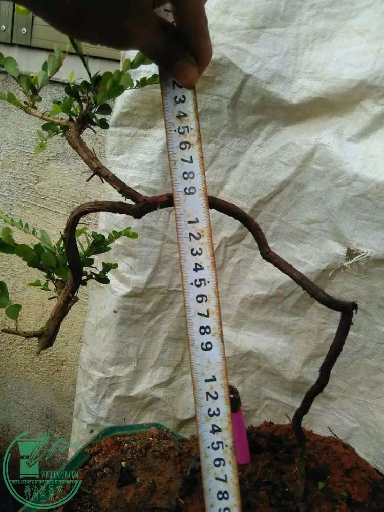 1.4.jpg