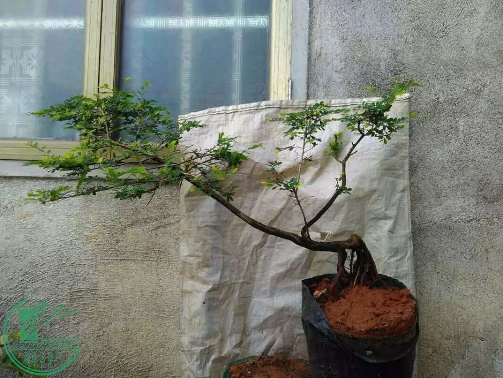 4.10.jpg