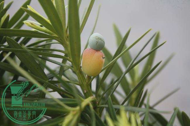 Ƭ20131026ۺ 3592.jpg