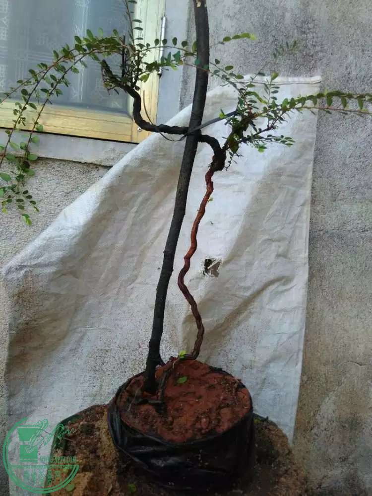 3.1.jpg
