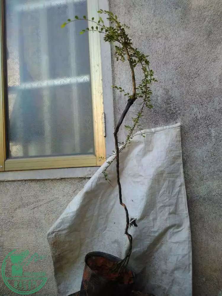4.1.jpg