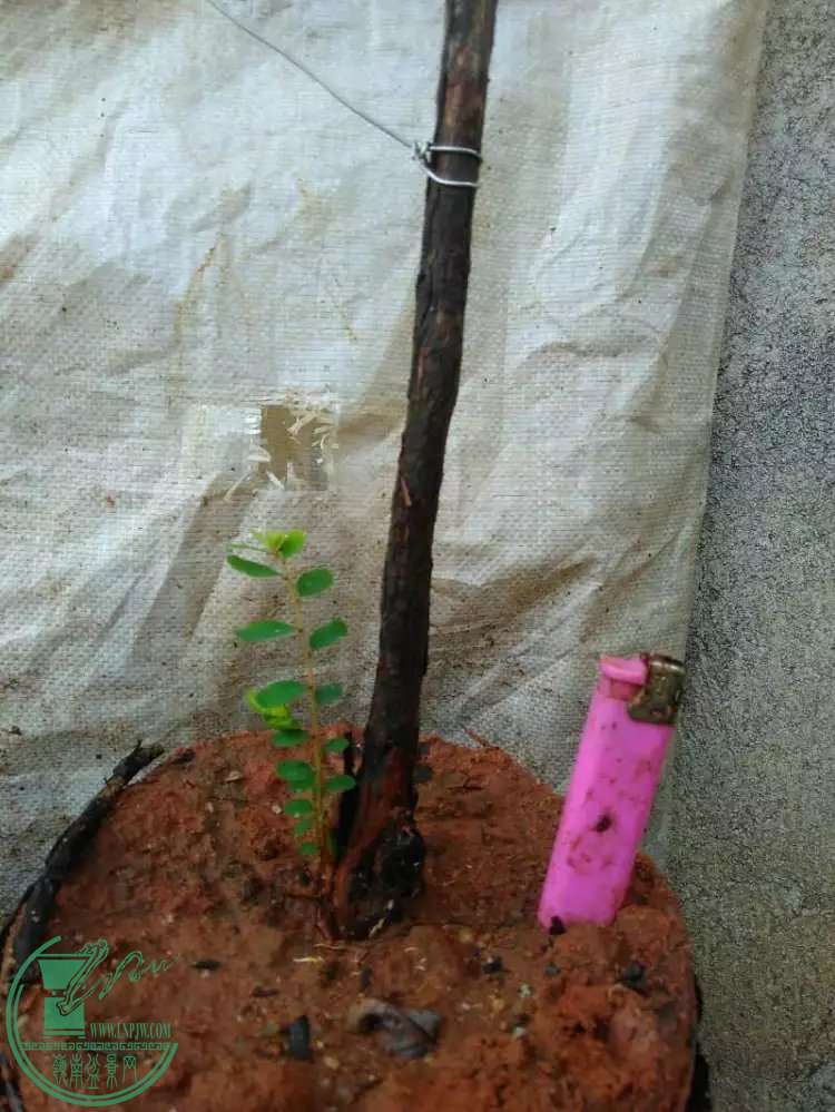 1.5.jpg
