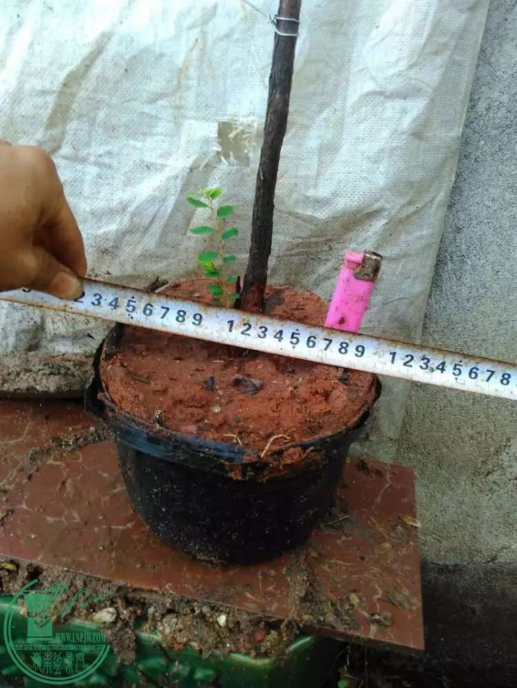 1.6.jpg
