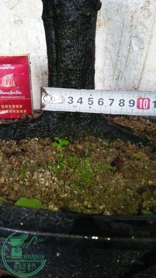 QQͼƬ20160628125304.jpg