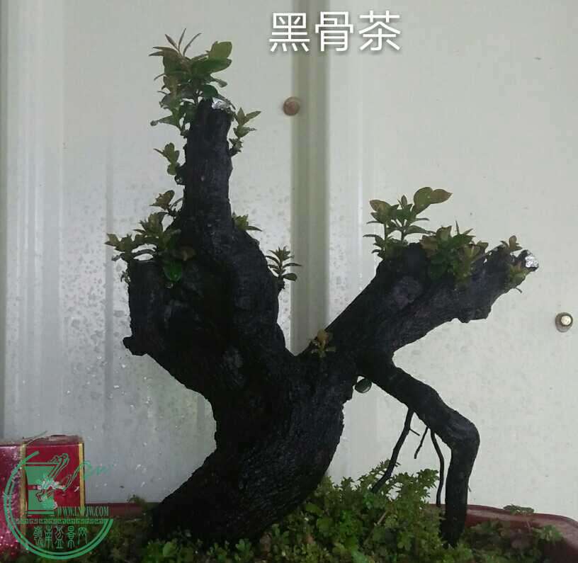 QQͼƬ20160628132941.jpg