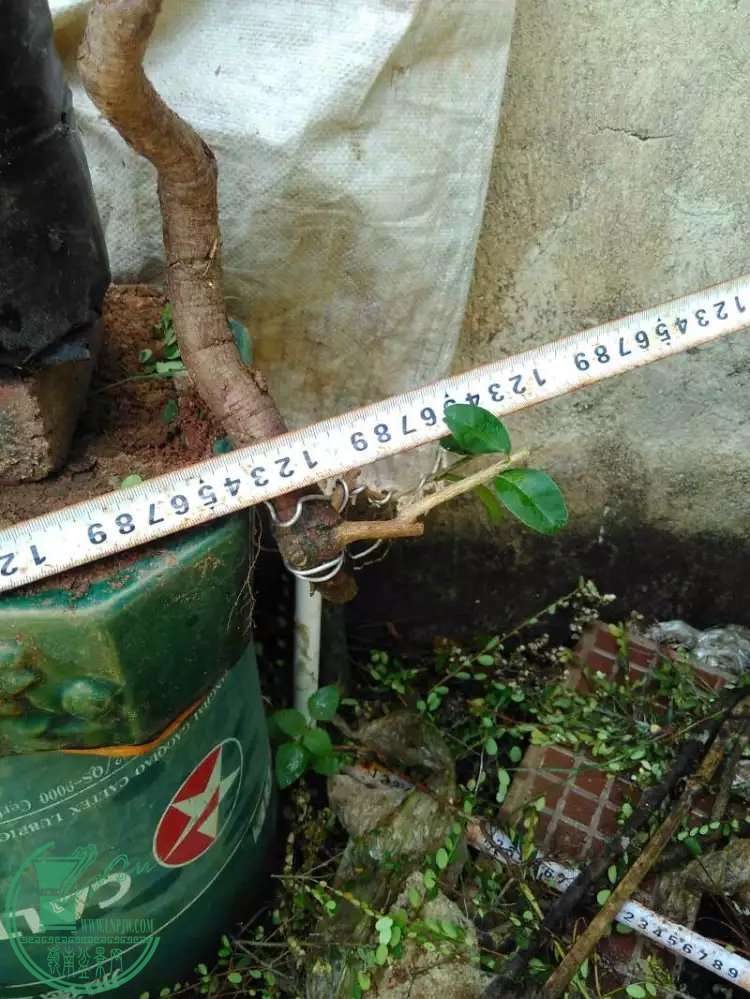 1.5.jpg